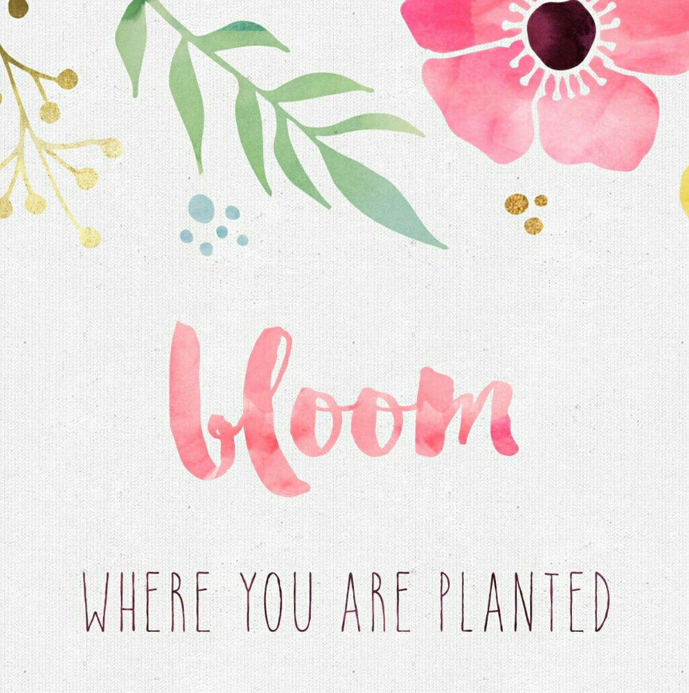 Meet your Posher, Madelyn